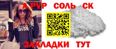 стаф Майкоп