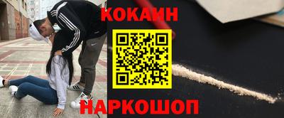 стаф Майкоп