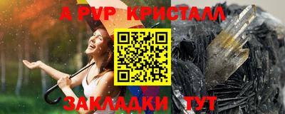 стаф Майкоп