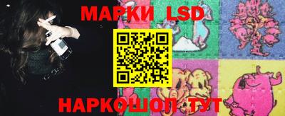 стаф Майкоп
