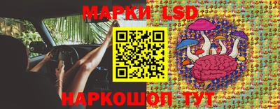стаф Майкоп