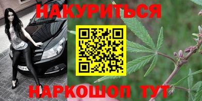 стаф Майкоп