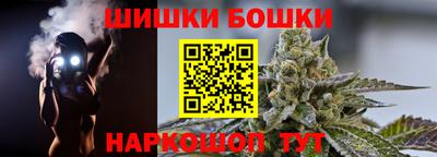 стаф Майкоп