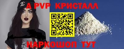 стаф Майкоп