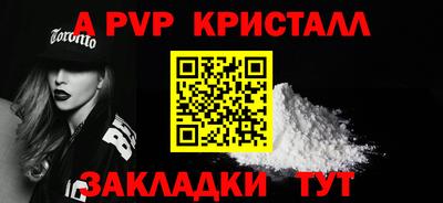 стаф Майкоп