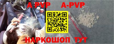 стаф Майкоп