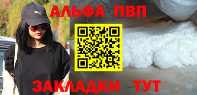 стаф Майкоп
