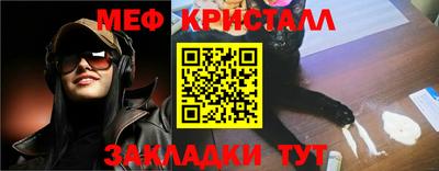 стаф Майкоп