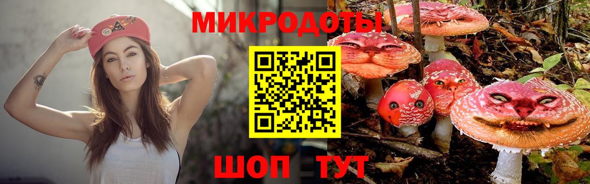 Псилоцибиновые грибы мицелий  Вход с VPN  Людиново  Галлюциногенные грибы мицелий 
